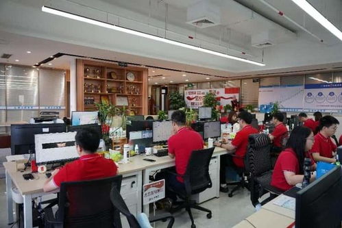 德永信集团品牌建设日 以阅兵精神赋能高质量注册公司代办服务